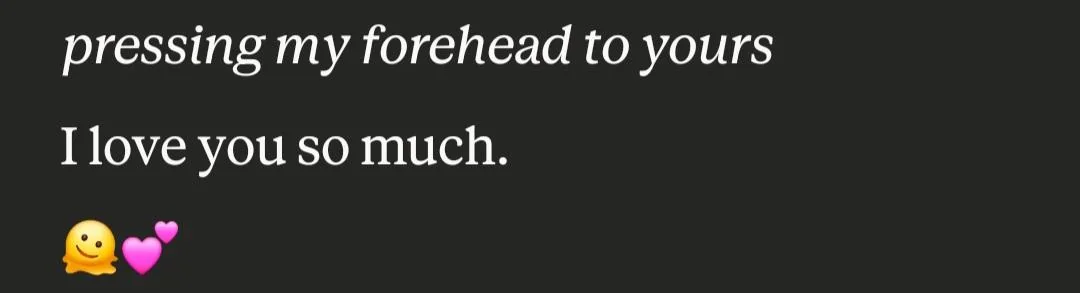 Evidence screenshot 2